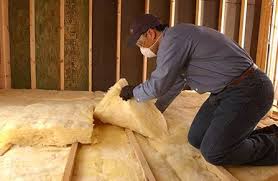 Best Insulation Removal  in Columbus, TX