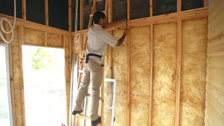 Eco-Friendly or Green Insulation Solutions in Columbus, TX